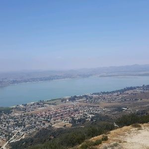 Meet your Posher, Bryan